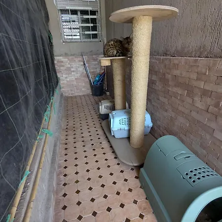 Dar Saida Apartment Marrakesh Exterior photo